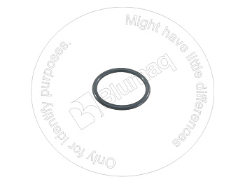 2171987 ST КОЛЬЦО КРУГЛОГО СЕЧЕНИЯ