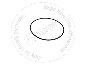 5D9334 ST КОЛЬЦО КРУГЛОГО СЕЧЕНИЯ