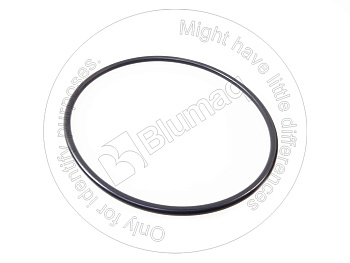 951725 ST КОЛЬЦО КРУГЛОГО СЕЧЕНИЯ