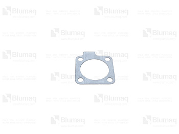 29503803 BQ GASKET
