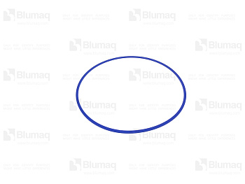 2970832 BQ RING