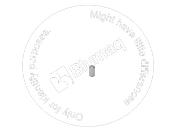 1027494 BQ ШТИФТ