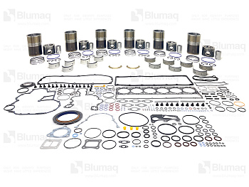 RM2310A BQ OVERHAUL HALF REPAIR C13 TRUCK
