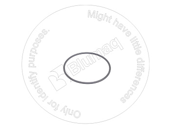 1757898 ST КОЛЬЦО КРУГЛОГО СЕЧЕНИЯ