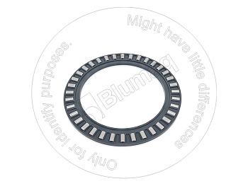2173252 BQ BEARING-NE