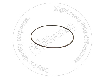 0700042140 ST КОЛЬЦО КРУГЛОГО СЕЧЕНИЯ