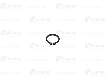 0950919 ST ПРУЖИННОЕ КОЛЬЦО