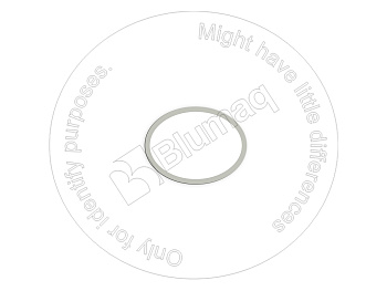 BQ1300264 ST ВОЗВРАТНОЕ КОЛЬЦО
