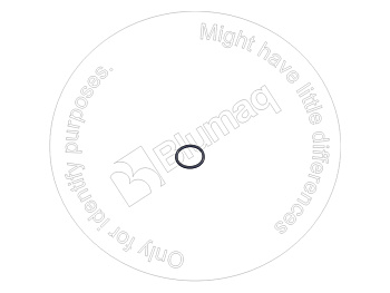 VOE983489 ST КОЛЬЦО КРУГЛОГО СЕЧЕНИЯ