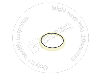 0931482 ST САЛЬНИК