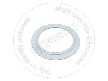 1036006 BQ КОЛЬЦО УПЛОТНИТЕЛЬНОЕ