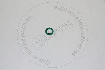 2139246 ST КОЛЬЦО КРУГЛОГО СЕЧЕНИЯ