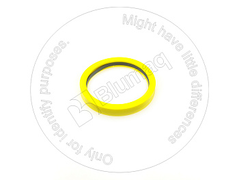 4909946M OR САЛЬНИК
