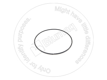 9U9558XA BQ КОЛЬЦО 178 X 4 ММ