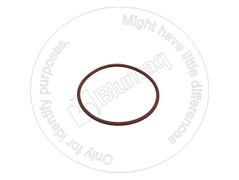 6D7889 ST КОЛЬЦО КРУГЛОГО СЕЧЕНИЯ