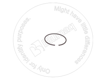 6N0009 ST КОЛЬЦО