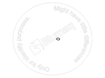 0289651008 ST КОЛЬЦО КРУГЛОГО СЕЧЕНИЯ