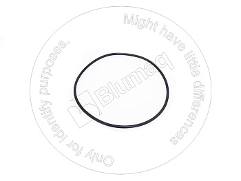 951673 ST КОЛЬЦО КРУГЛОГО СЕЧЕНИЯ