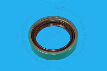 1242375 ST САЛЬНИК