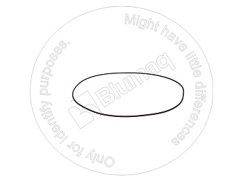 1098063 ST КОЛЬЦО КРУГЛОГО СЕЧЕНИЯ