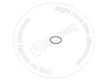 0289001029 ST КОЛЬЦО КРУГЛОГО СЕЧЕНИЯ