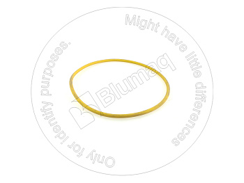 6L5360 ST КОЛЬЦО КРУГЛОГО СЕЧЕНИЯ