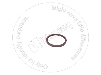 VOE20857601 ST САЛЬНИК