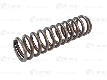 3495303 OE ПРУЖИННА