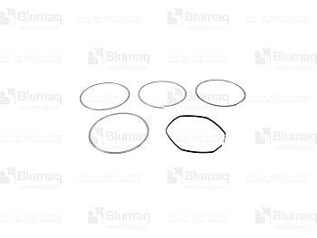 1007401 BQ НАБОР КОЛЕЦ