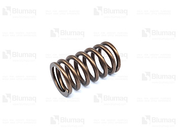 4500908 OE SPRING-VAL