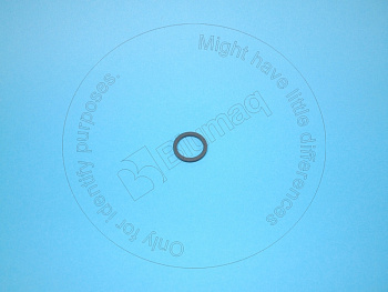 VOE469482 ST САЛЬНИК