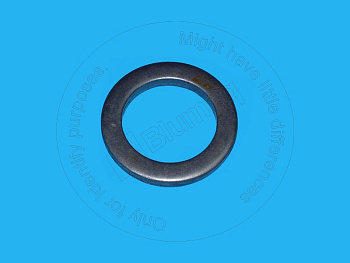 20G2331320 OR ШАЙБА