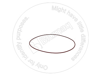 6V1934 ST КОЛЬЦО КРУГЛОГО СЕЧЕНИЯ