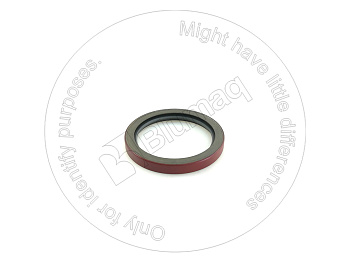 8H4246 ST САЛЬНИК