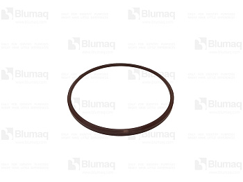 1R1065 OR КОЛЬЦО