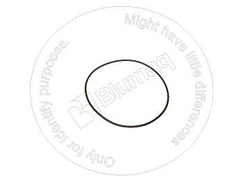 0289102119 ST КОЛЬЦО КРУГЛОГО СЕЧЕНИЯ