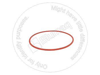 0700065190 ST КОЛЬЦО КРУГЛОГО СЕЧЕНИЯ