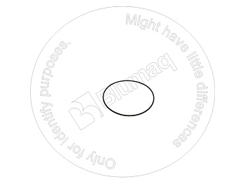 0289001066 ST КОЛЬЦО КРУГЛОГО СЕЧЕНИЯ