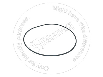 5351033 ST КОЛЬЦО КРУГЛОГО СЕЧЕНИЯ