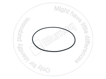 0775853 ST КОЛЬЦО КРУГЛОГО СЕЧЕНИЯ