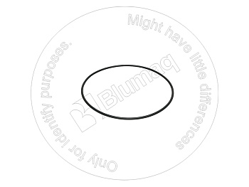 0775848 ST КОЛЬЦО КРУГЛОГО СЕЧЕНИЯ