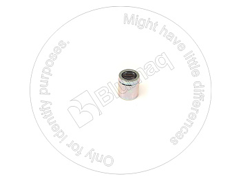 VOE17477420 ST ФЕРРУЛ