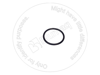 0781976 ST КОЛЬЦО КРУГЛОГО СЕЧЕНИЯ