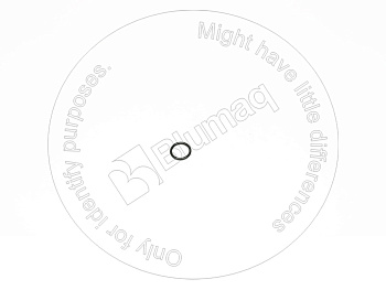 0951592 ST КОЛЬЦО КРУГЛОГО СЕЧЕНИЯ