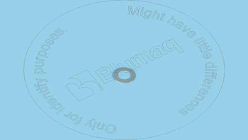 6P3910 ST ШАЙБА