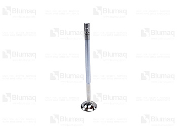 4901725 OE VALVE-EXHA
