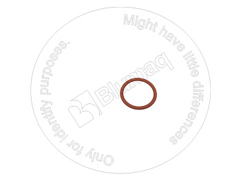 1038173 ST КОЛЬЦО КРУГЛОГО СЕЧЕНИЯ