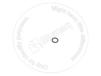 3054901 ST КОЛЬЦО КРУГЛОГО СЕЧЕНИЯ