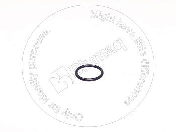 VOE20405599 ST КОЛЬЦО КРУГЛОГО СЕЧЕНИЯ