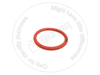 4362656 ST КОЛЬЦО КРУГЛОГО СЕЧЕНИЯ